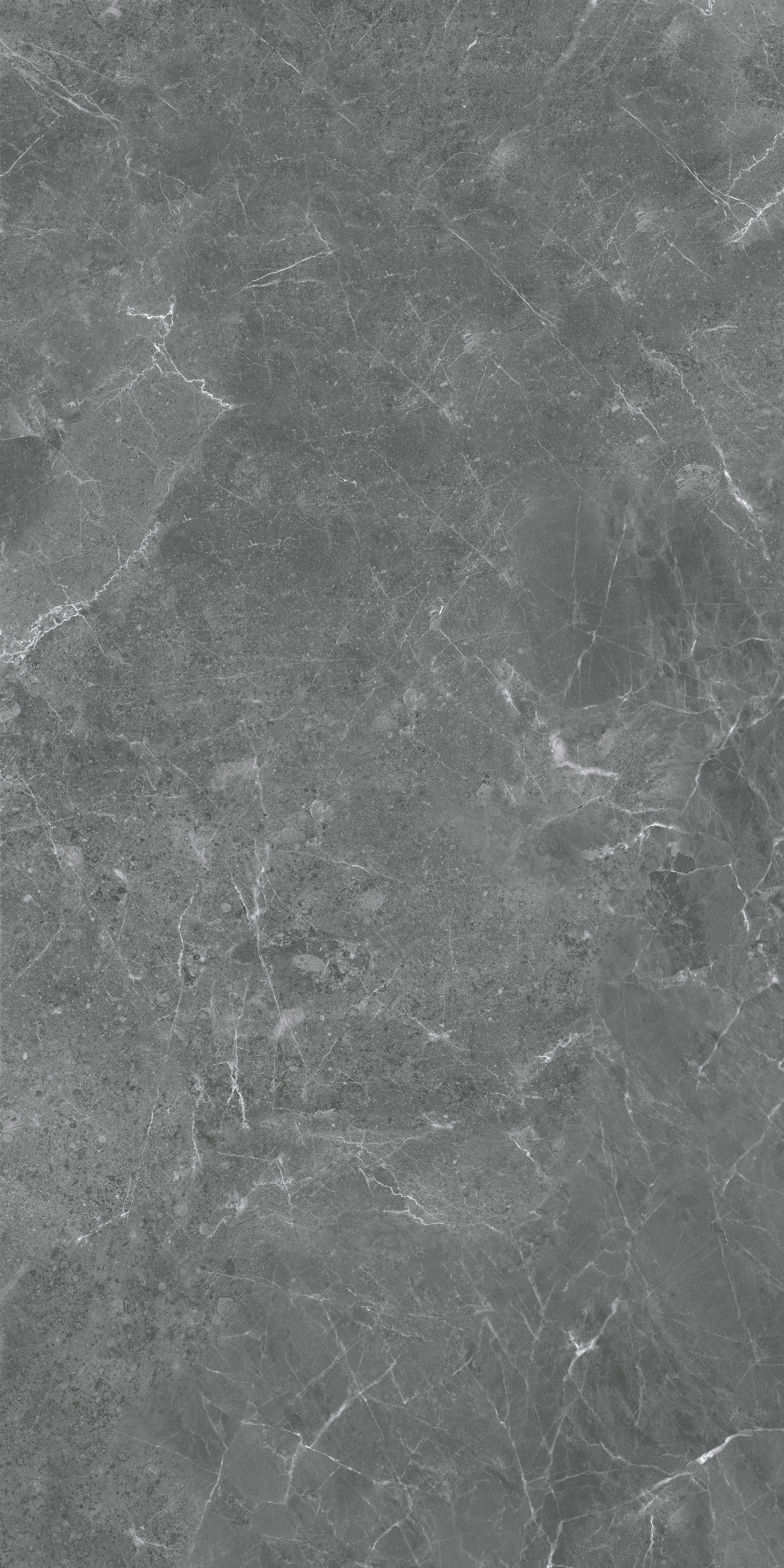 Avenzo Nero 600x1200