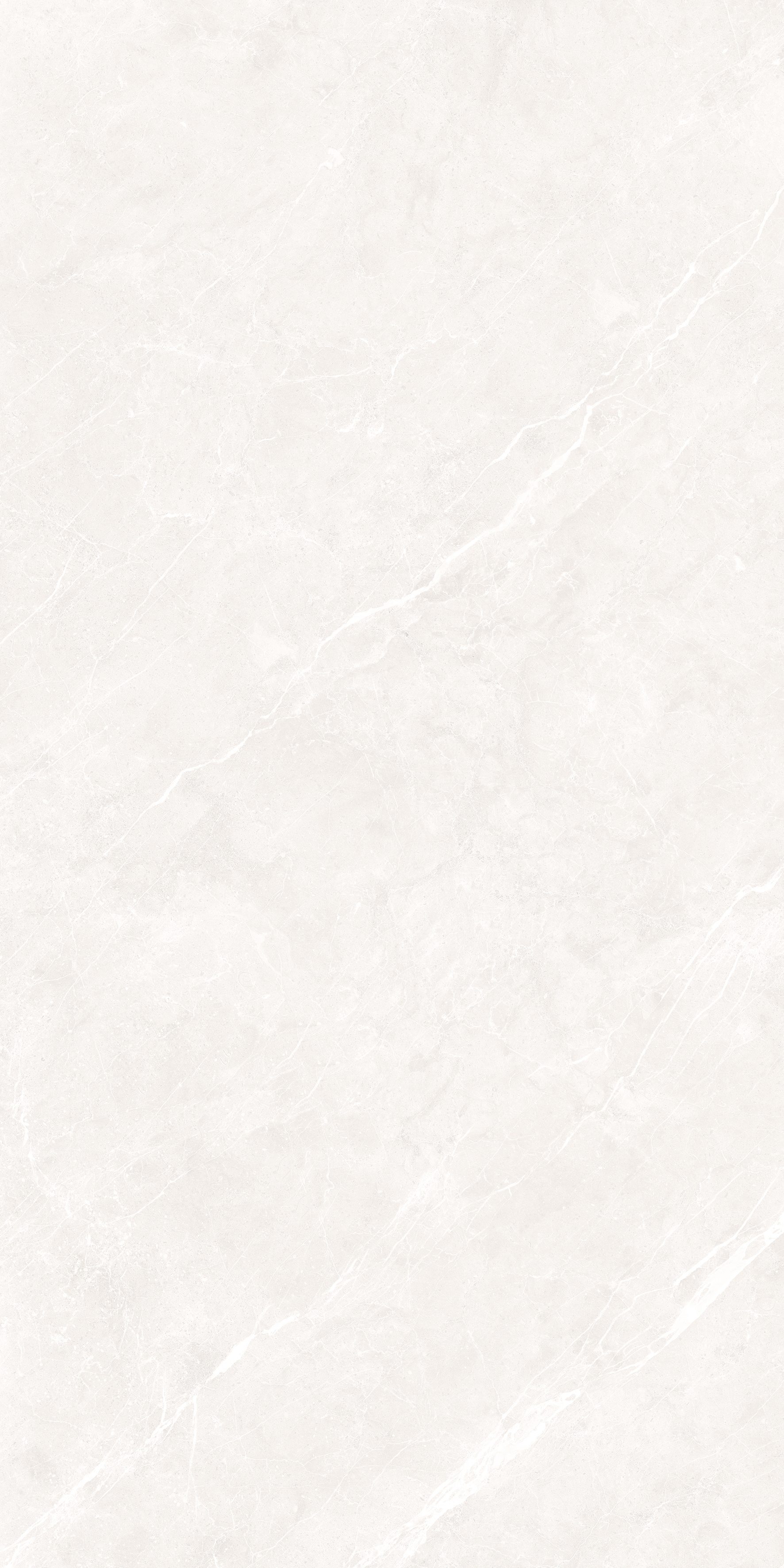 Ciola Bianco 600x1200