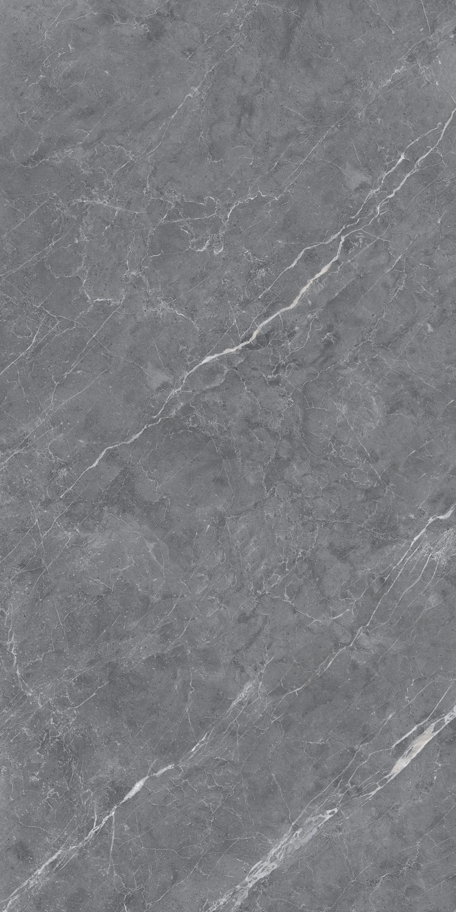 Ciola Dark Grey 600x1200