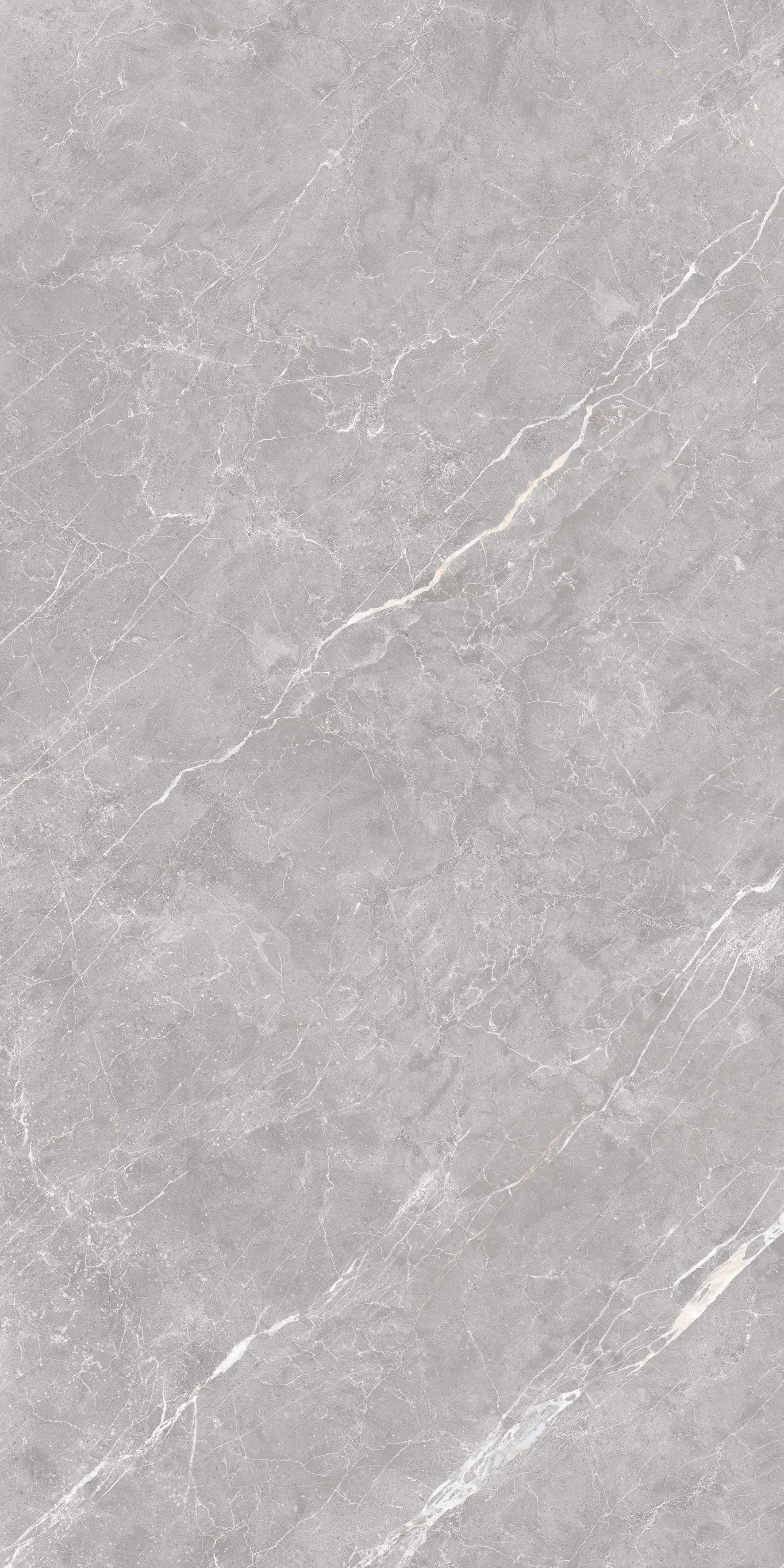 Ciola Grey 600x1200