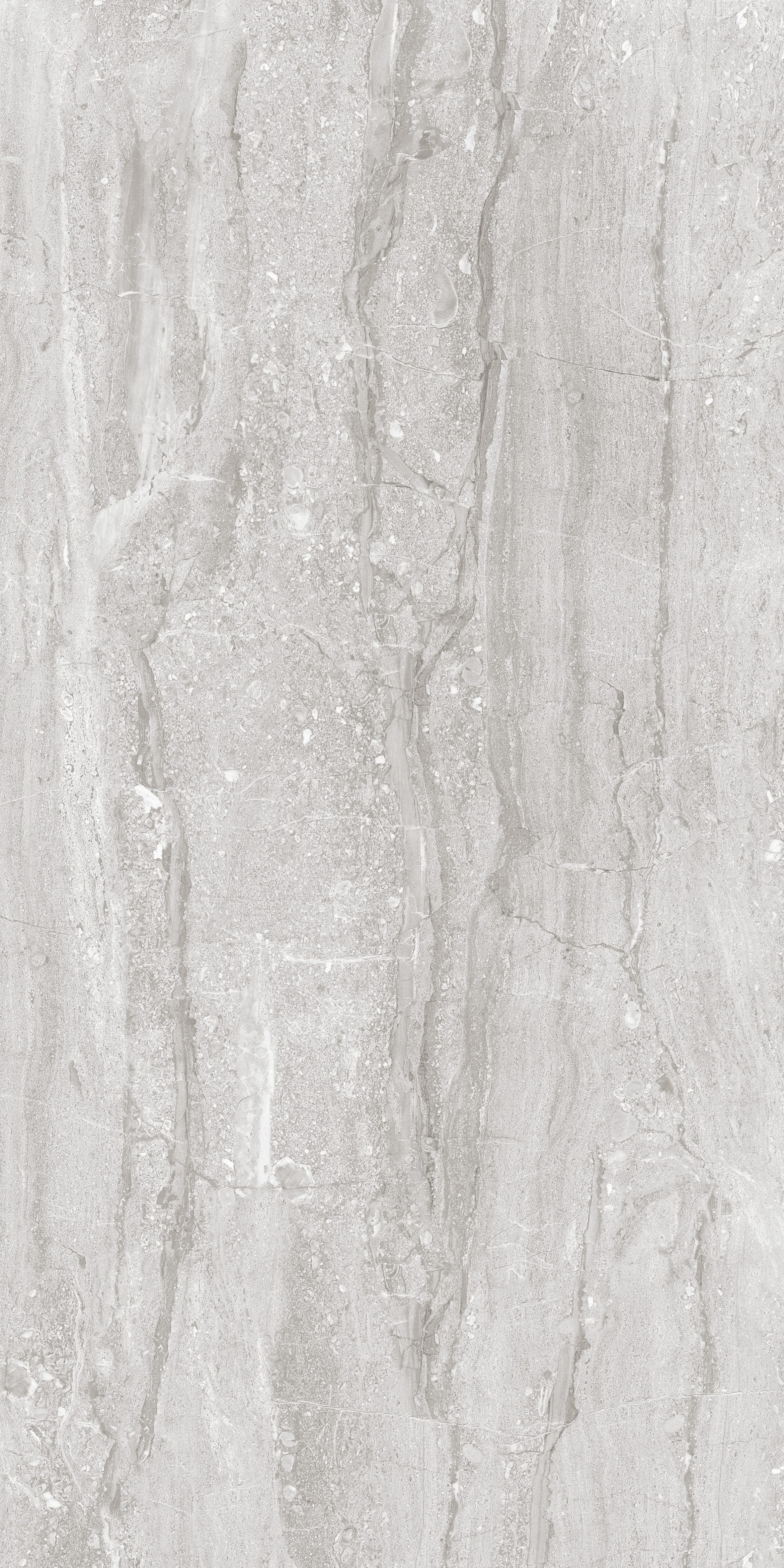 Satur Grey 600x1200
