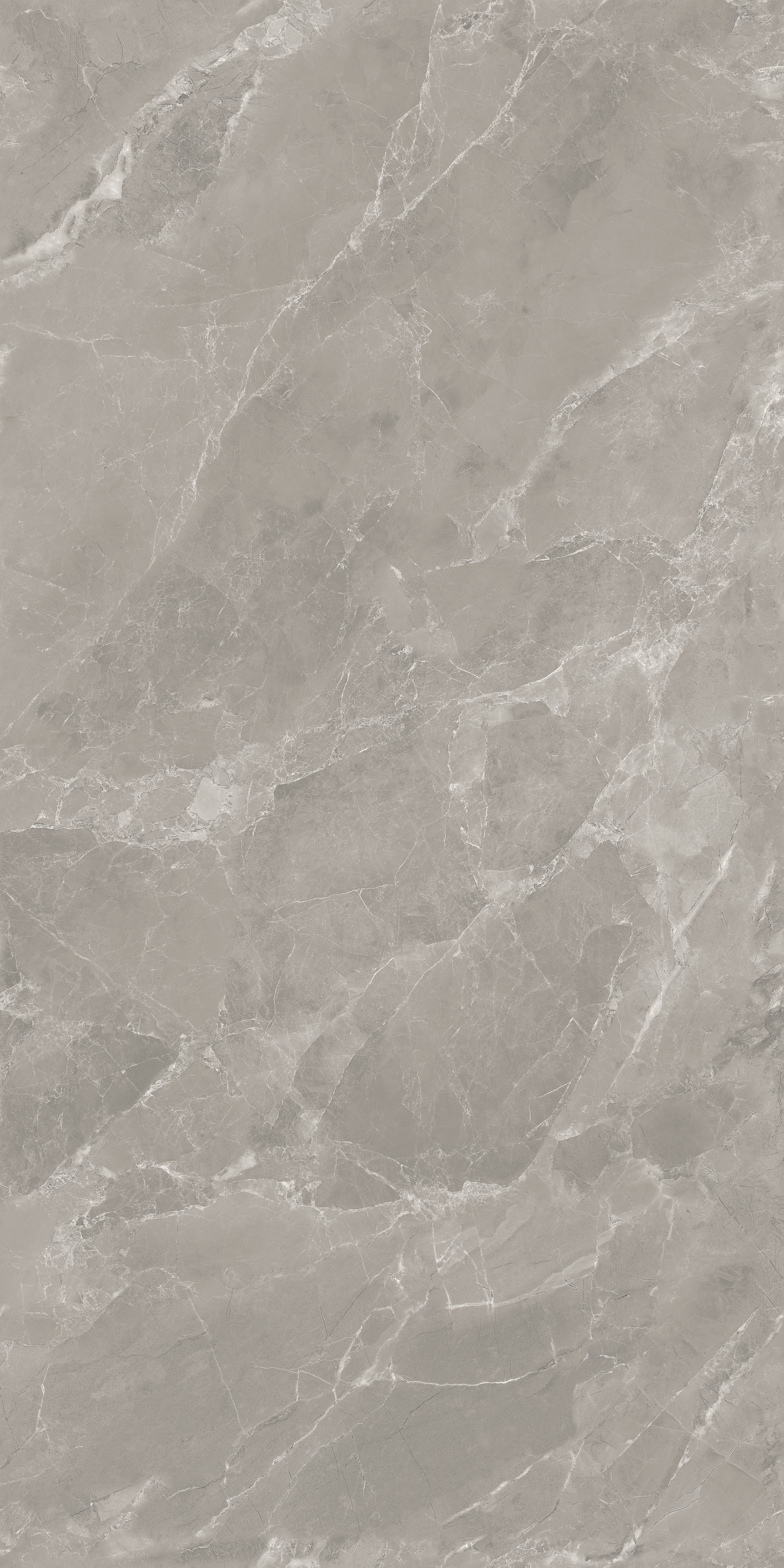 Terone Gris 600x1200