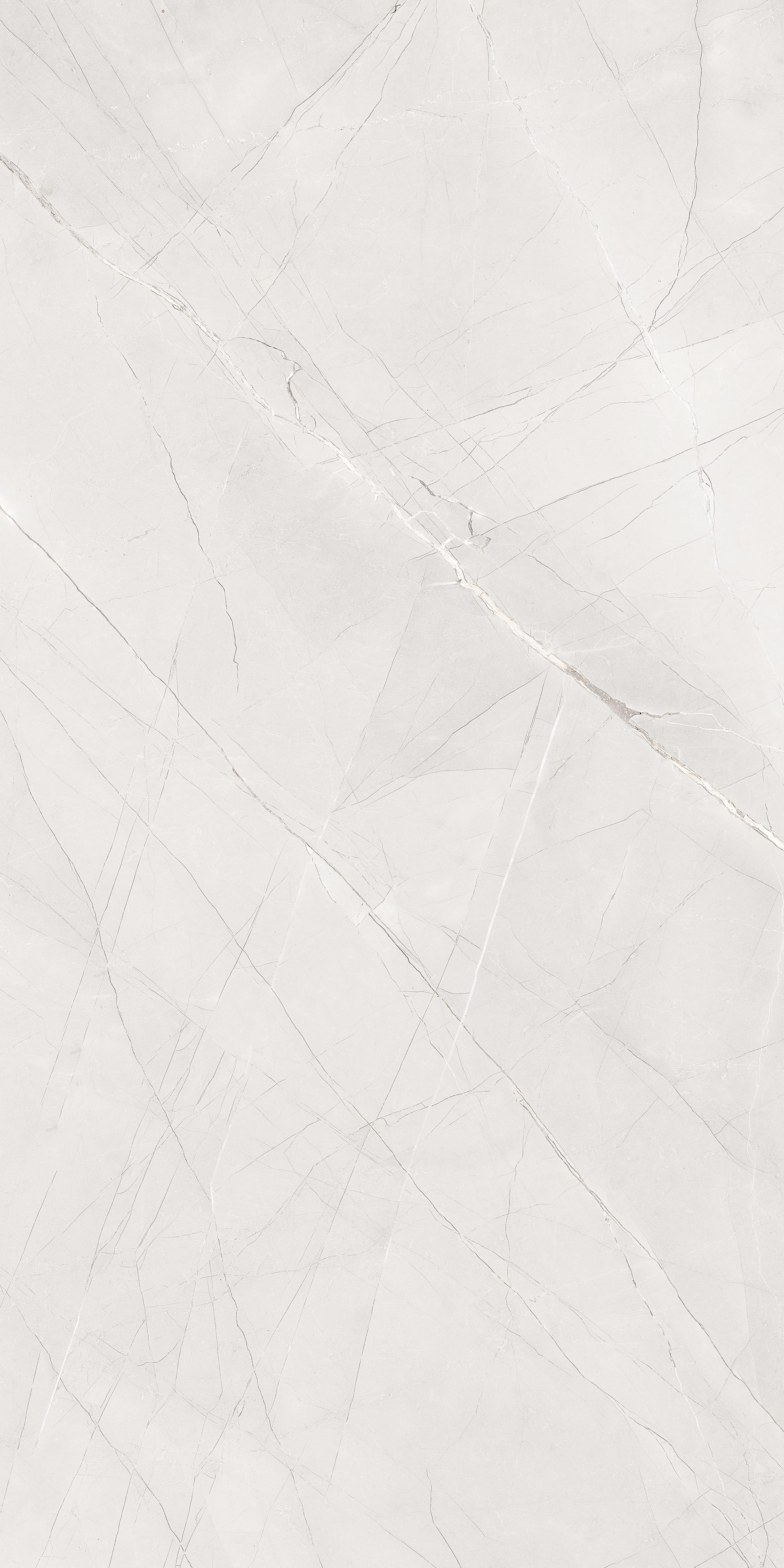 Verita Bianco 600x1200
