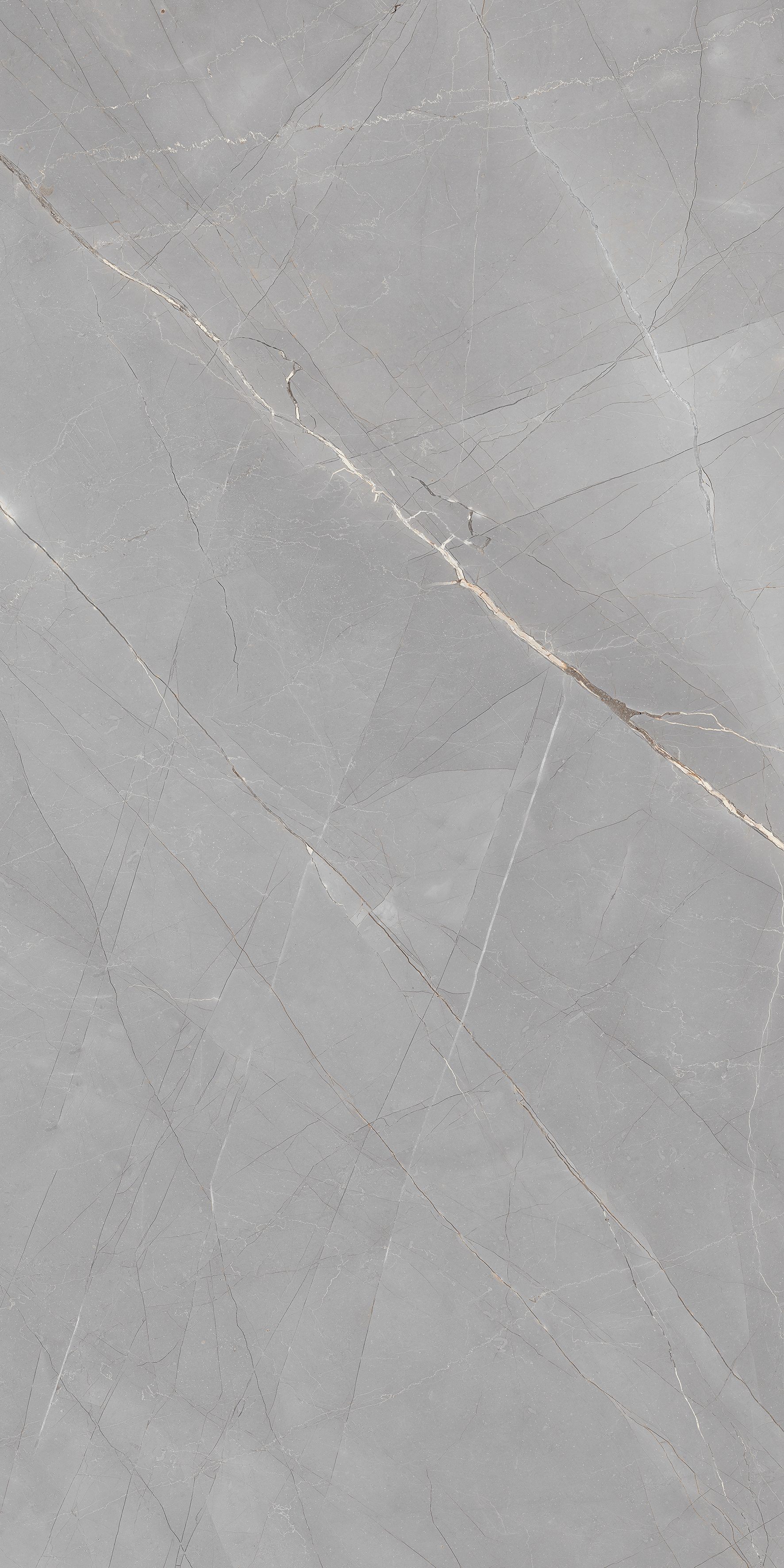 Verita Grey 600x1200