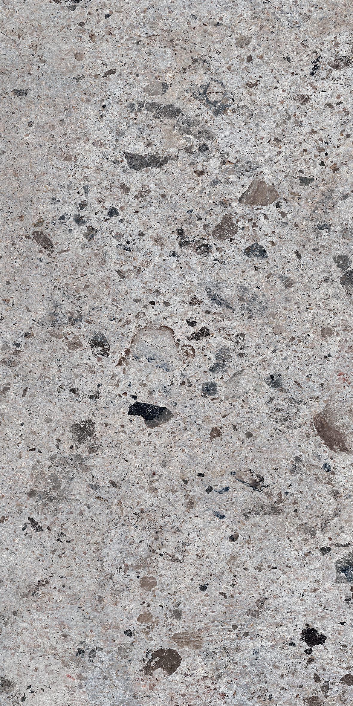 Parris Dark Grey 600x1200