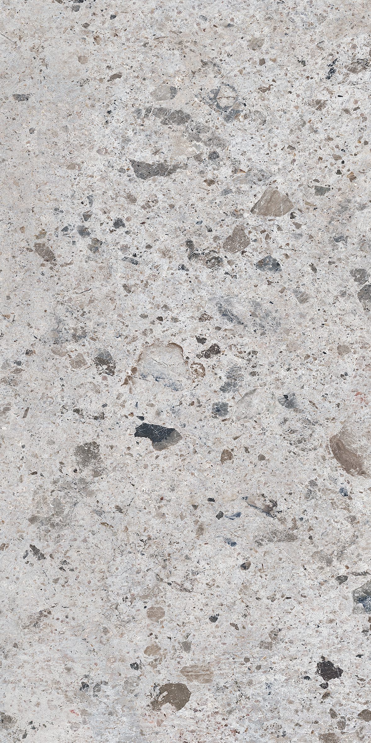Parris Grey 600x1200