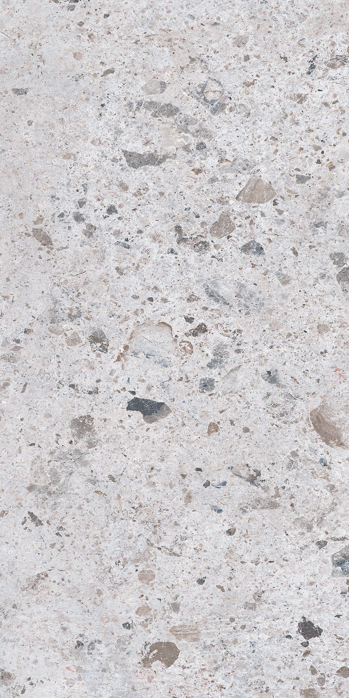 Parris Light Grey 600x1200