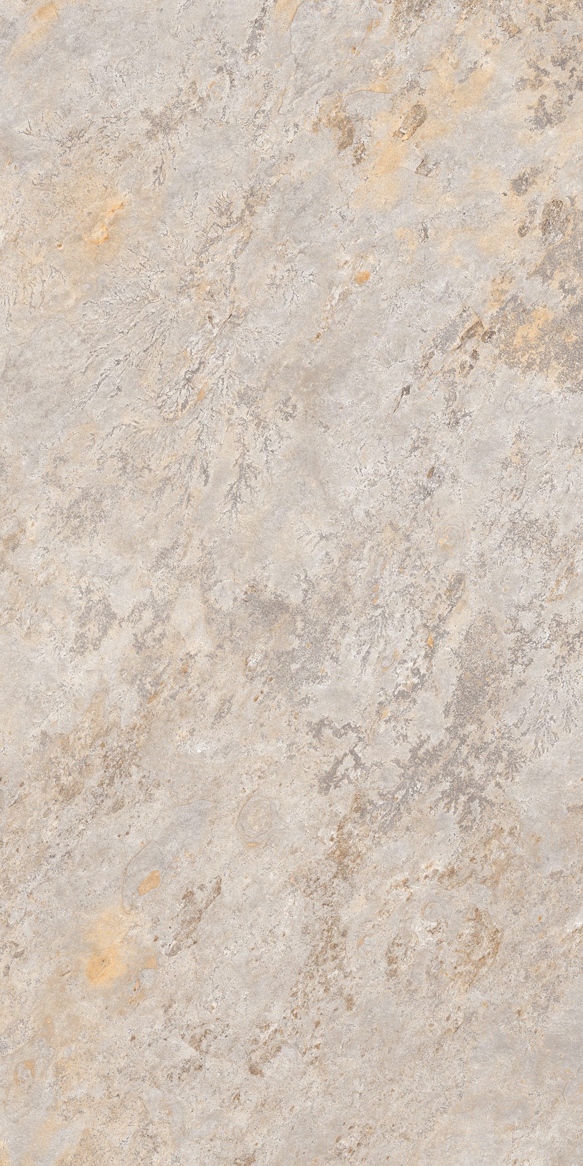 Snare Beige 600x1200
