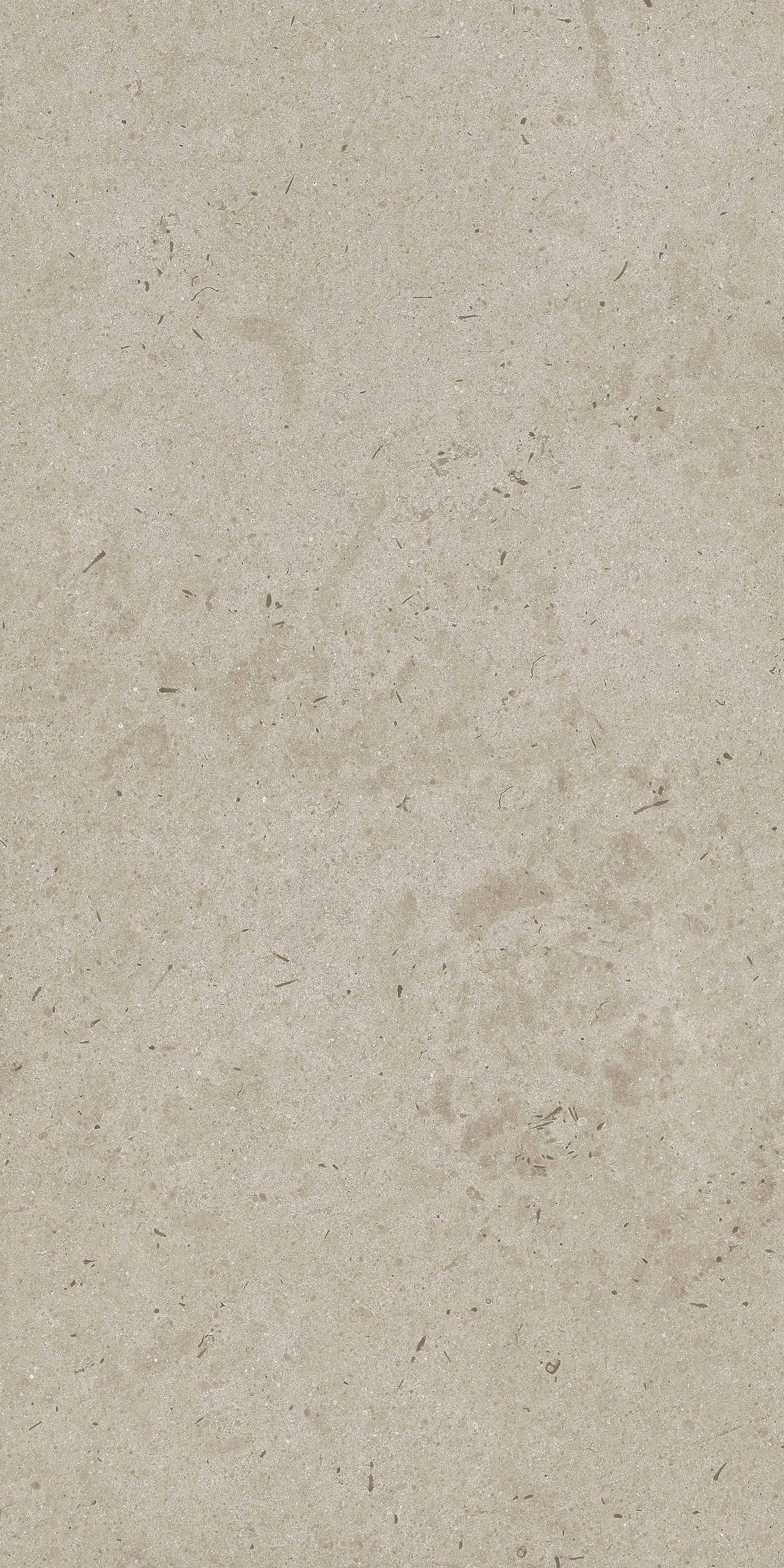 Antica Brown 600x1200