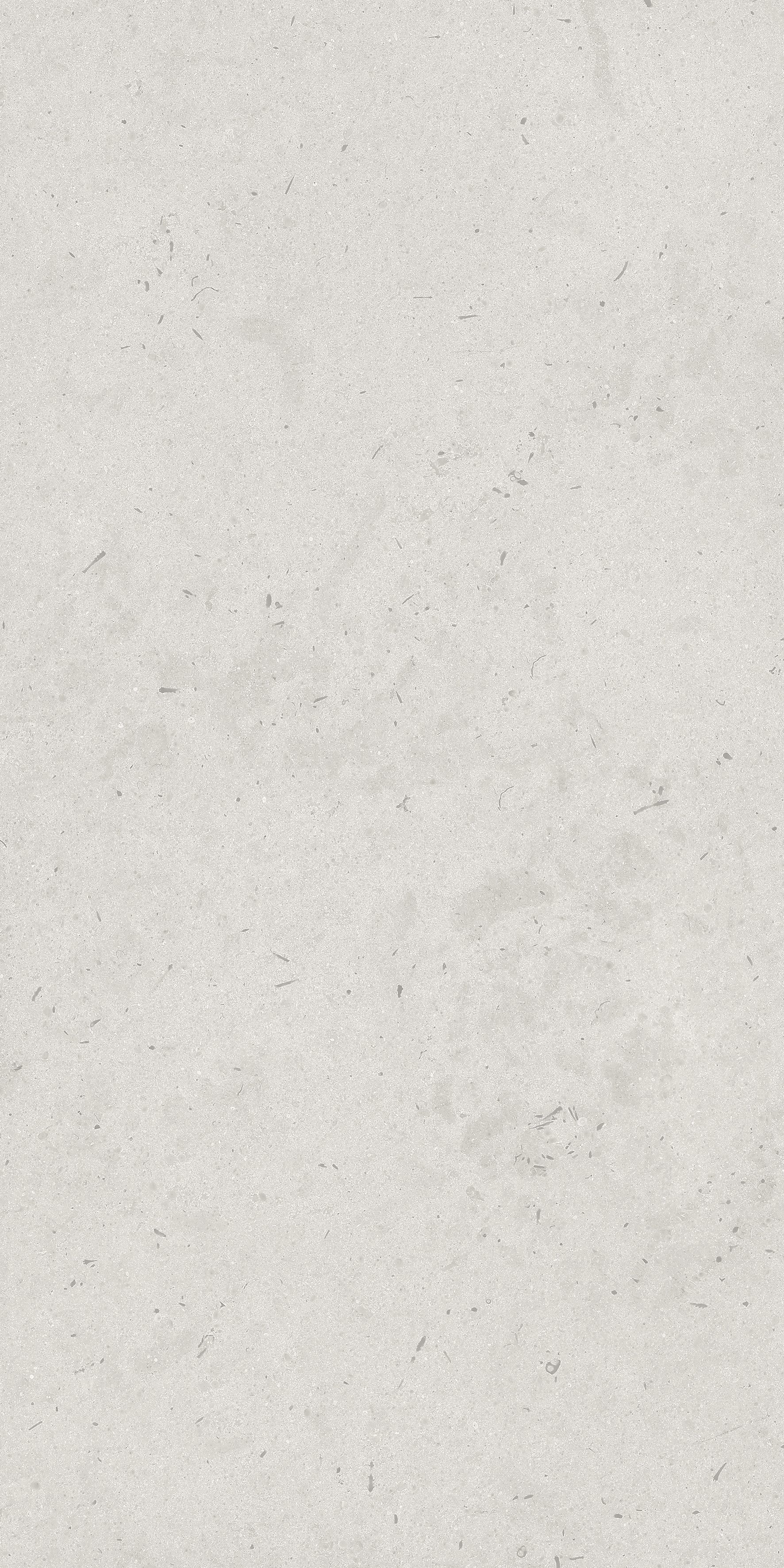 Antica Grey 600x1200