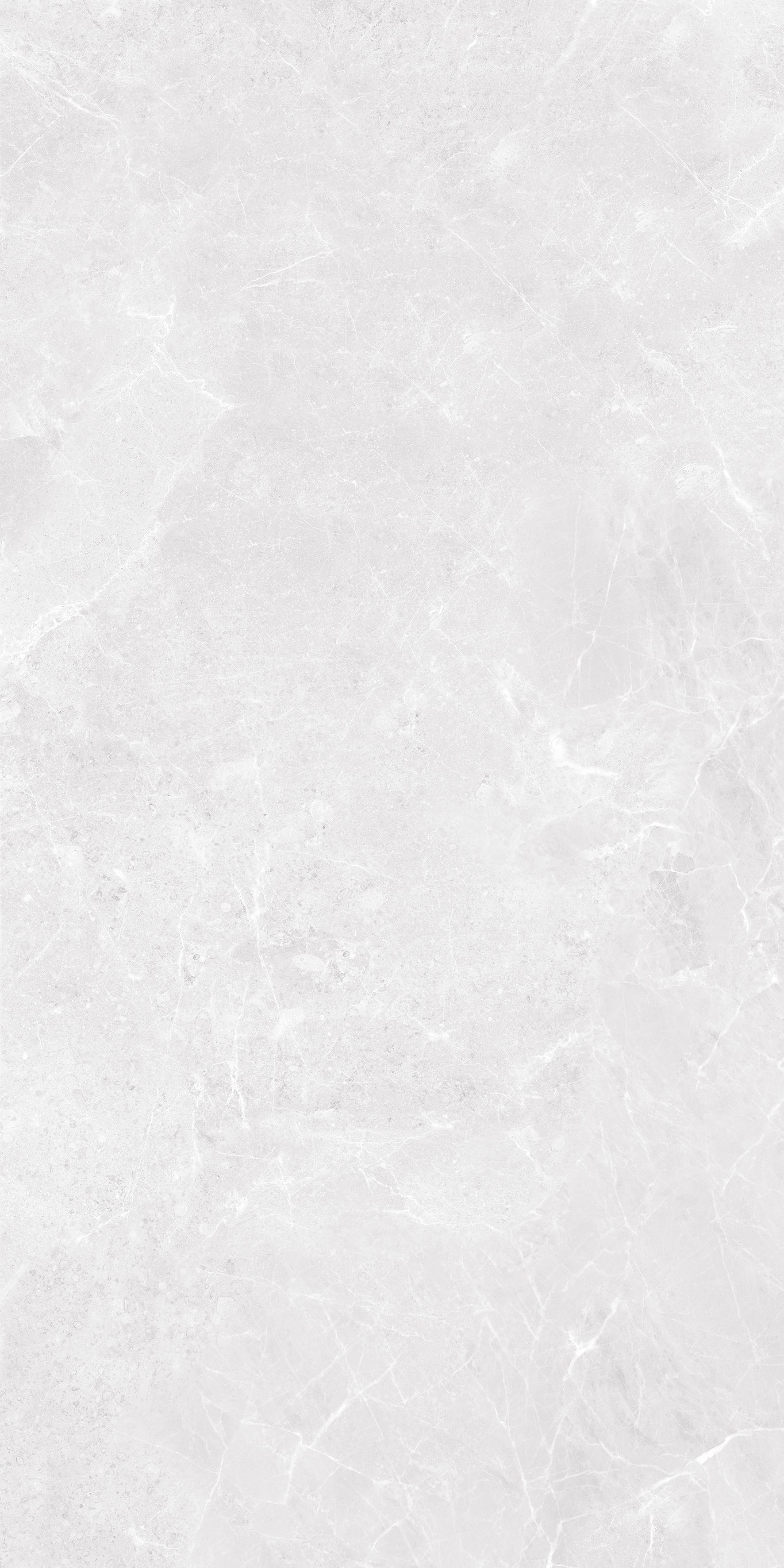 Avenzo Bianco 600x1200