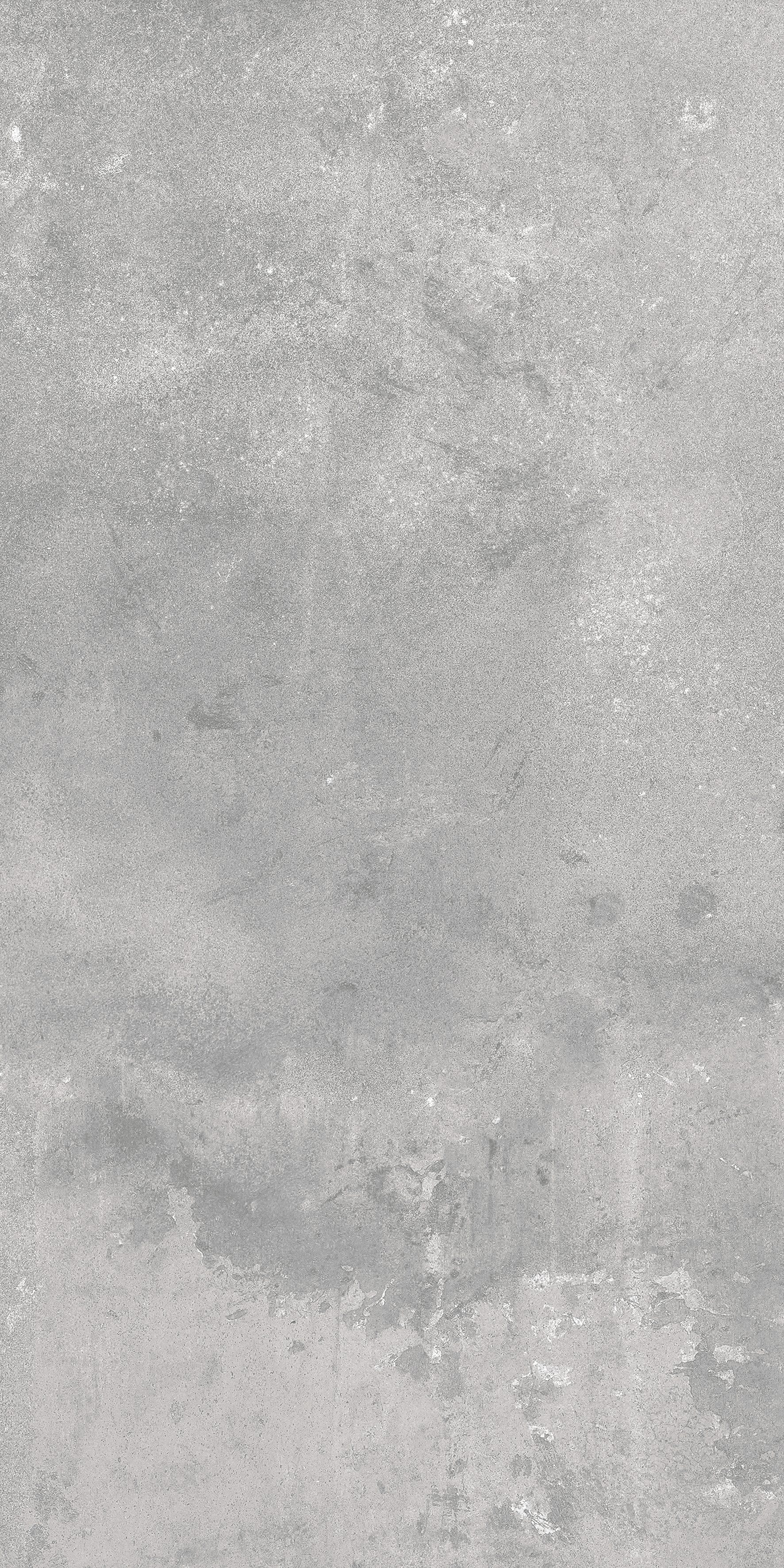 Trento Grey 600x1200