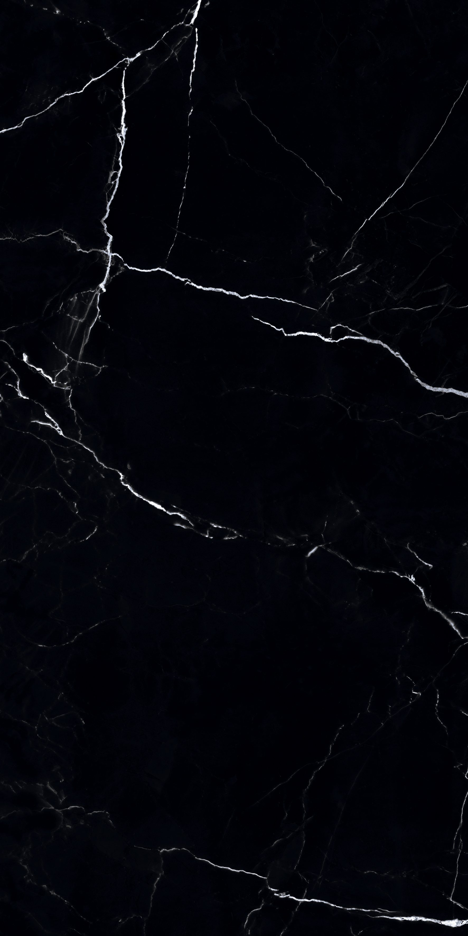 Ancona Black 600x1200